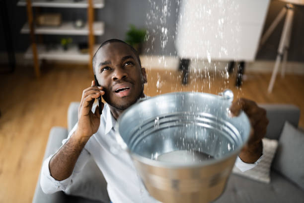 Best Sewage cleanup and water damage restoration  in New Bern, NC