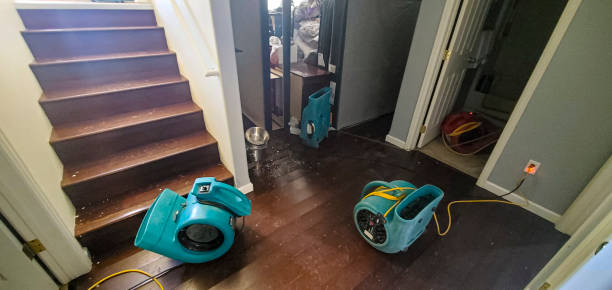 Best Professional water damage repair  in New Bern, NC