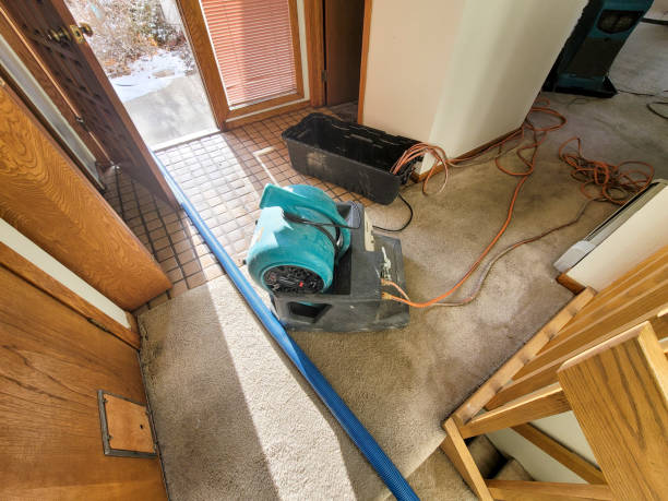 Best Flood restoration services  in New Bern, NC