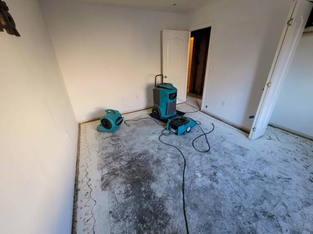 Best Water damage cleanup near me  in New Bern, NC