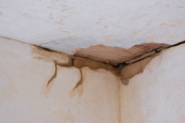 Best Ceiling water damage repair  in New Bern, NC
