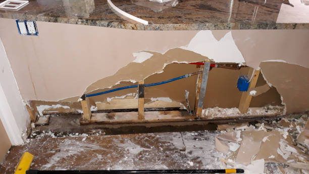 Best Flood damage cleanup  in New Bern, NC