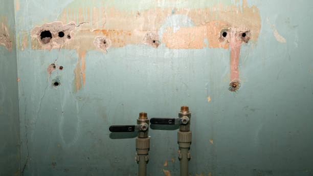 Best Flood restoration services  in New Bern, NC
