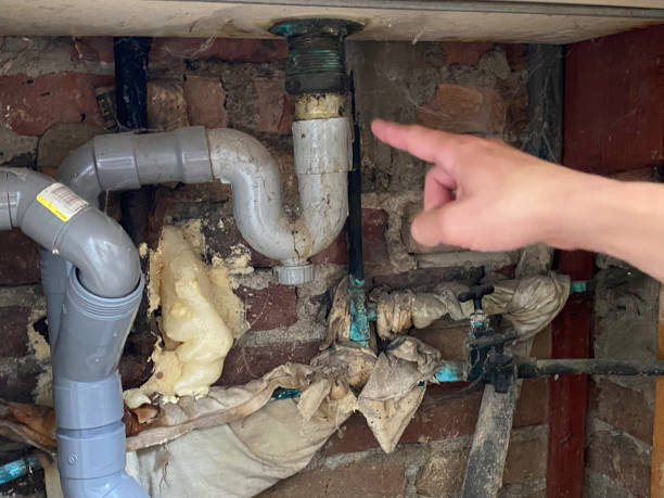 Best Basement water damage restoration  in New Bern, NC