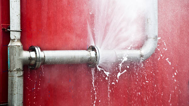 Best Water damage restoration near me  in New Bern, NC
