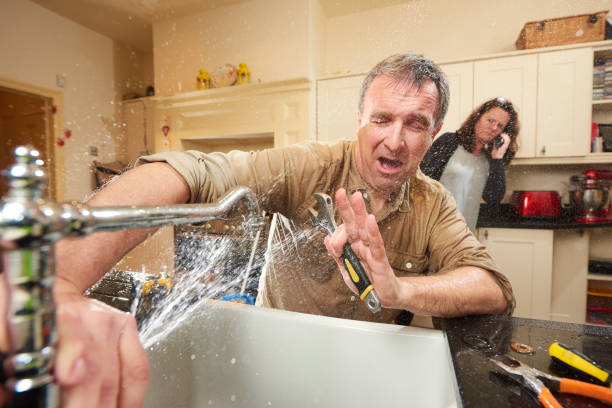 Reliable New Bern, NC Water damage restoration Solutions